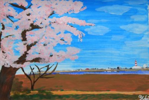 本格水彩画桜