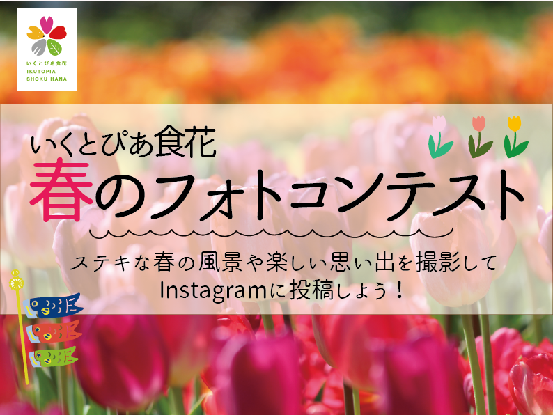 【菜の花 チューリップまつり】春のフォトコンテスト開催！