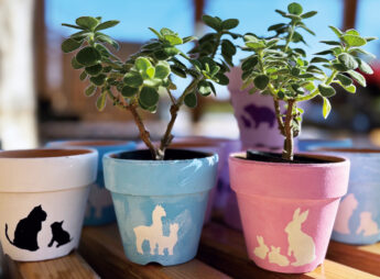 動物シルエットで鉢植え作り
