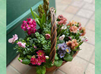 寄せ植えの画像