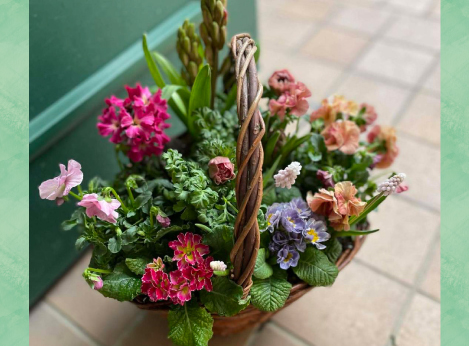 寄せ植えの画像